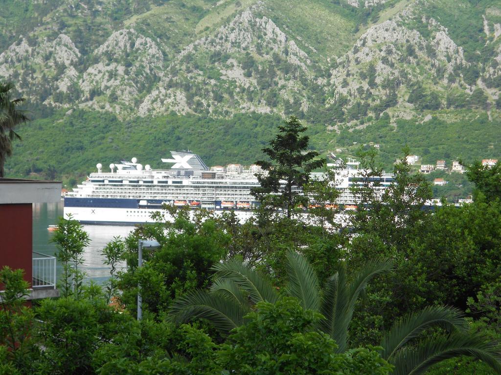 Apartments Samardzic Kotor Exteriör bild
